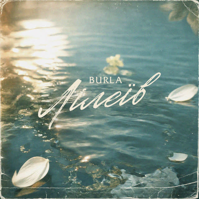 BURLA - Лілеїв