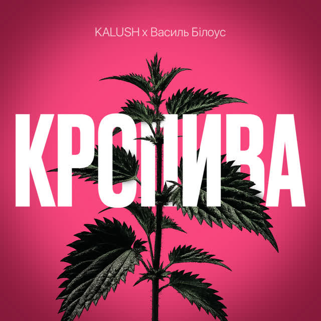 KALUSH, Василь Білоус - Кропива